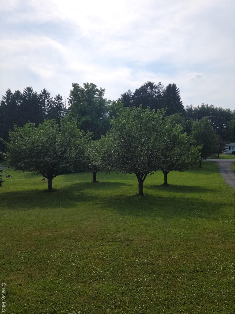 1406 Route 82 - Photo 24