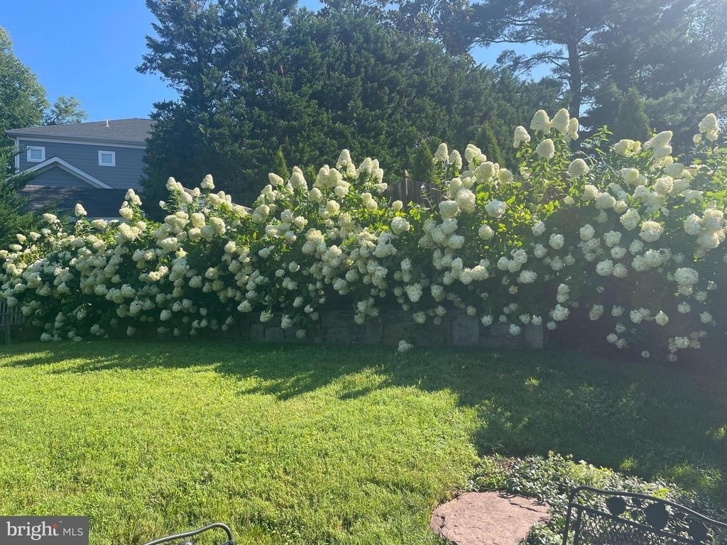 8807 Ridge Road - Photo 6