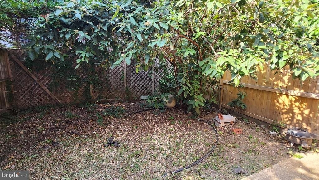 459 M Street Nw - Photo 5