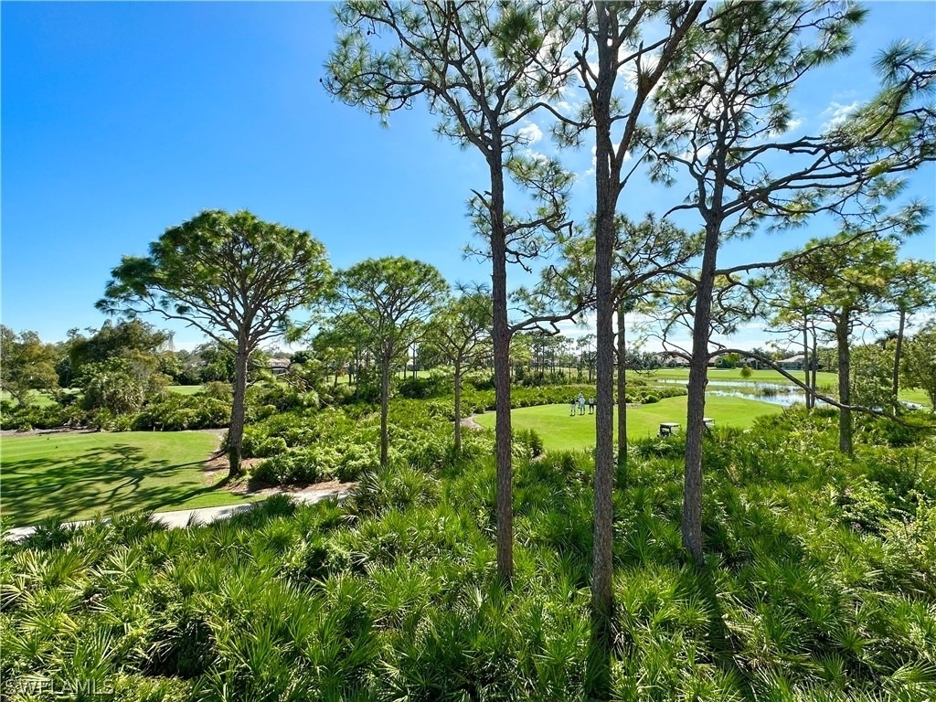 27121 Oakwood Lake Drive - Photo 16