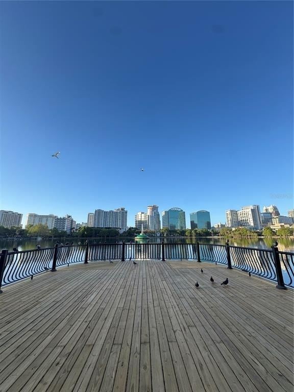 150 E Robinson Street - Photo 40