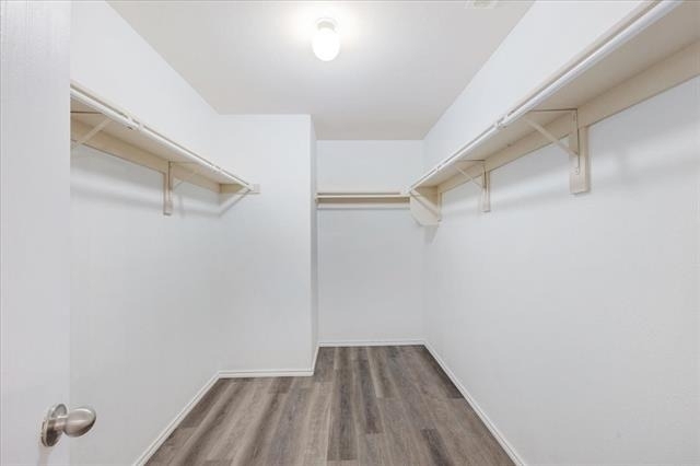 7405 Howling Coyote Lane - Photo 16