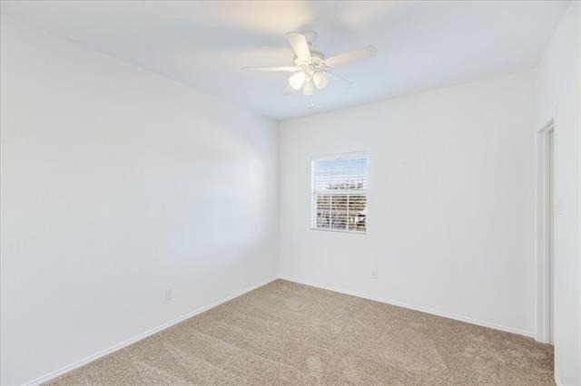 7405 Howling Coyote Lane - Photo 24