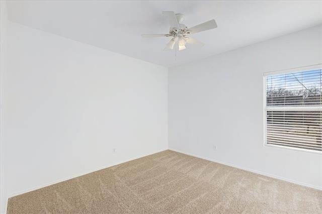 7405 Howling Coyote Lane - Photo 21