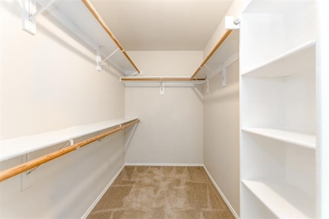 1017 Caleb Street - Photo 27