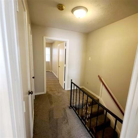 11352 Quail Run Street - Photo 17