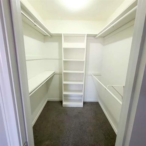 11352 Quail Run Street - Photo 6