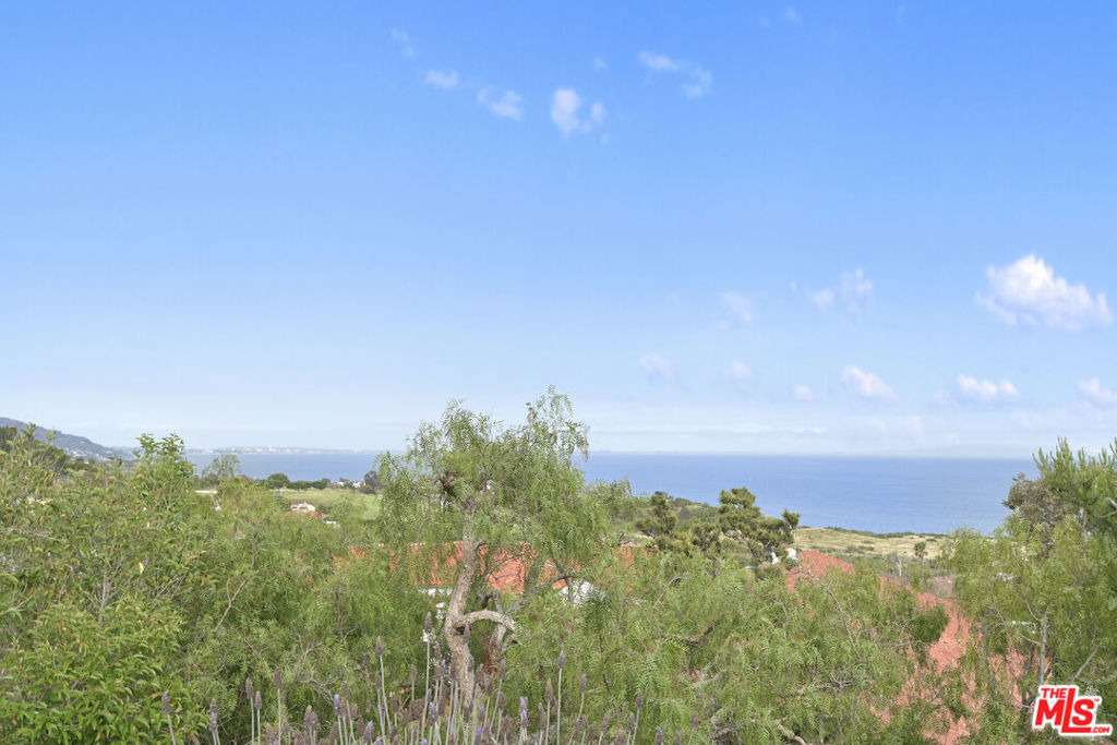 24728 Vantage Point Terrace - Photo 32