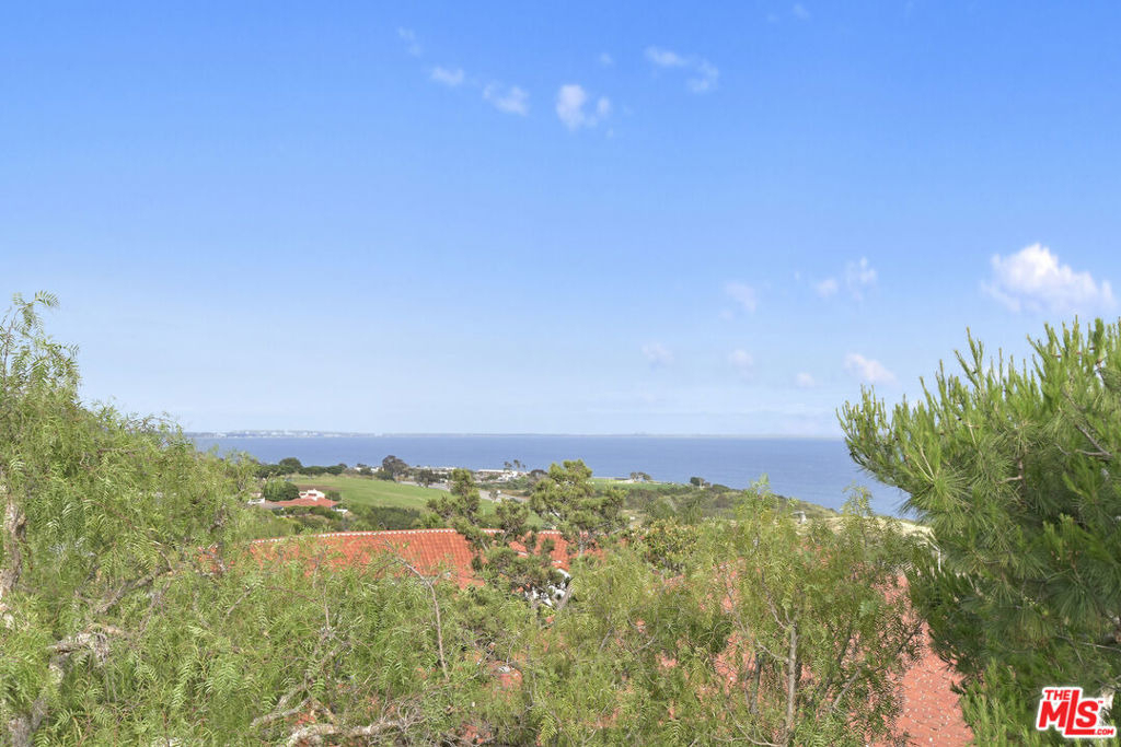 24728 Vantage Point Terrace - Photo 26