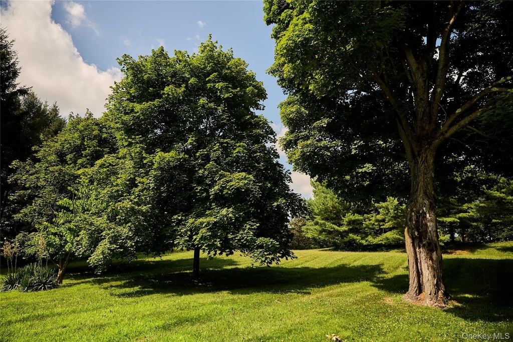 41 Seelbach Lane - Photo 36