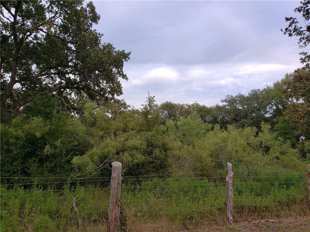 18901 Hog Eye Rd - Photo 8