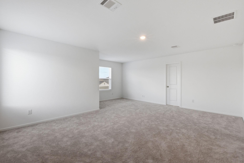 6323 Geyser Starish Drive - Photo 23