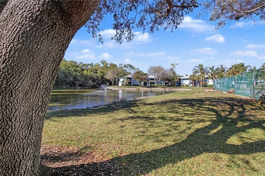 28201 Pine Haven Way - Photo 16
