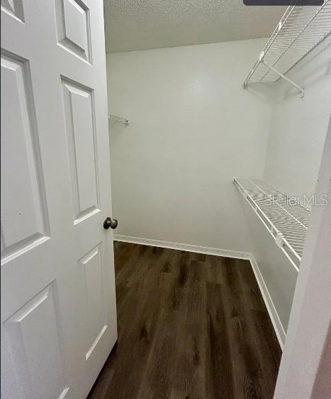 4114 Dijon Drive - Photo 9