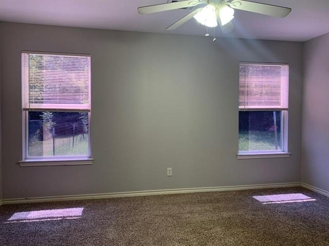 1602 W Elm Street - Photo 15