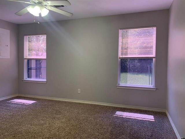 1602 W Elm Street - Photo 13