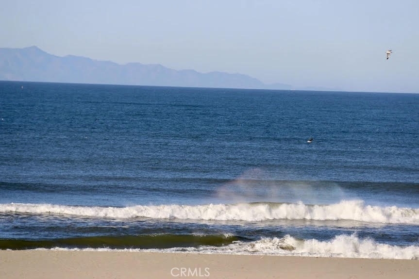116 W Channel Islands Boulevard - Photo 4