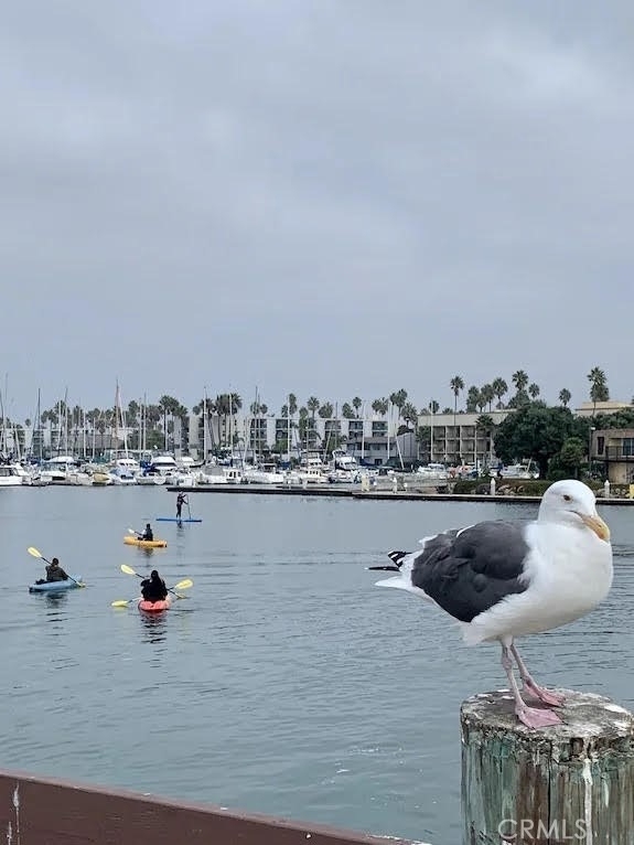 116 W Channel Islands Boulevard - Photo 30