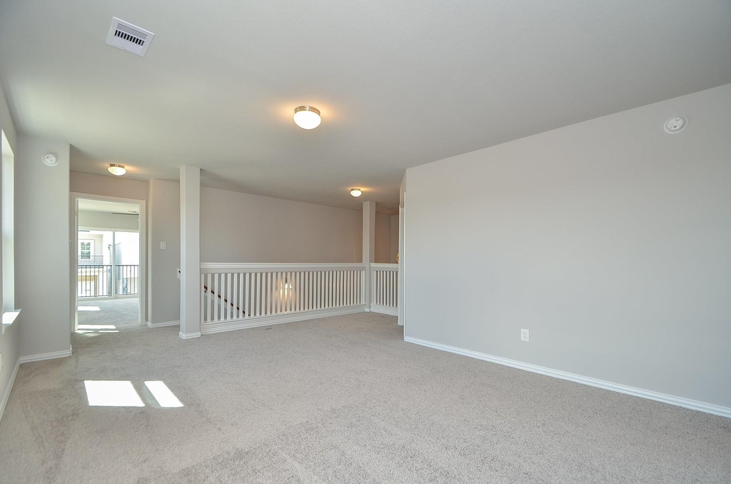 3210 Harmony Creek Lane - Photo 22