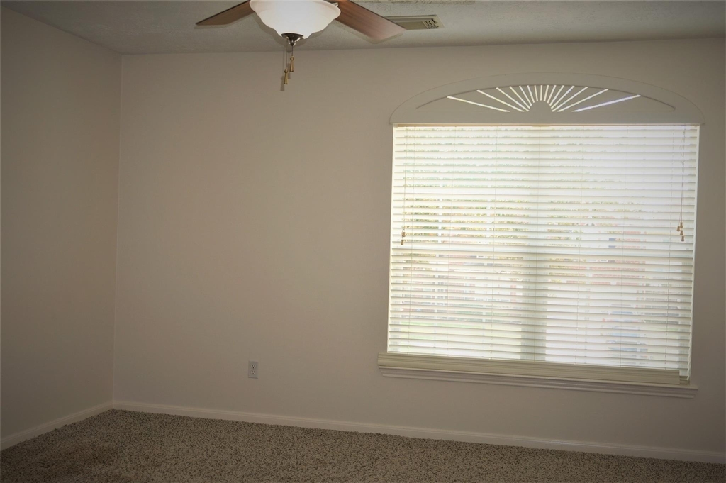 8123 Buffalo Springs Court - Photo 24