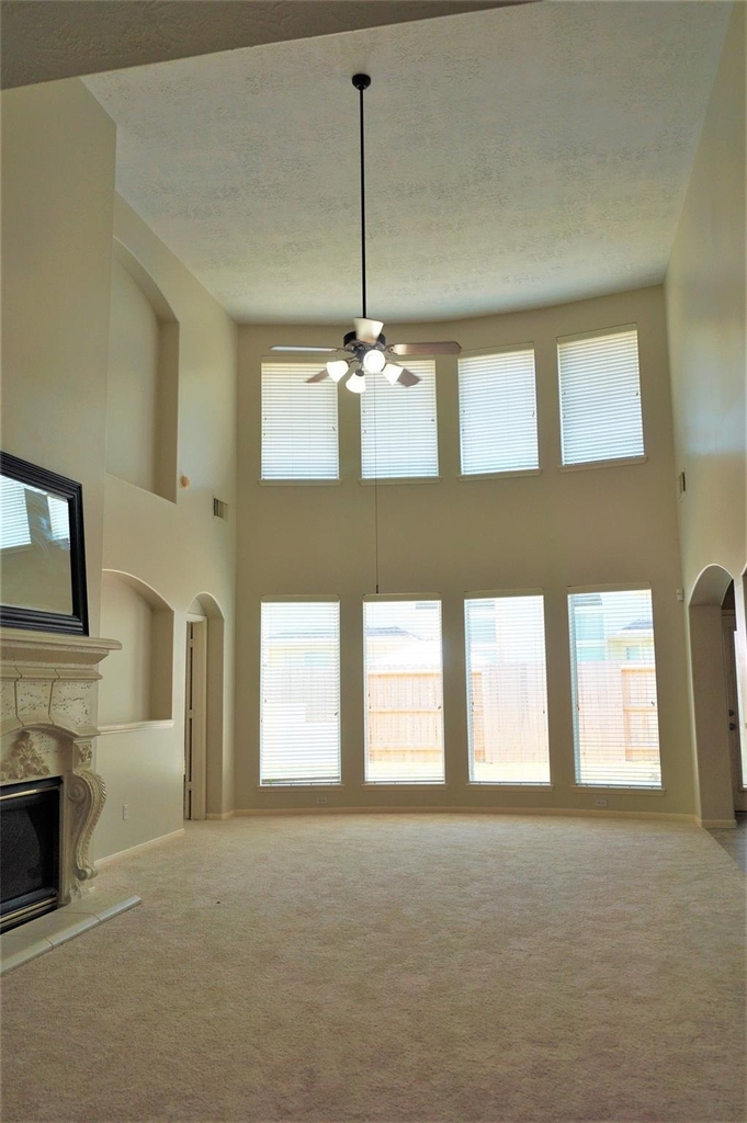 8123 Buffalo Springs Court - Photo 1