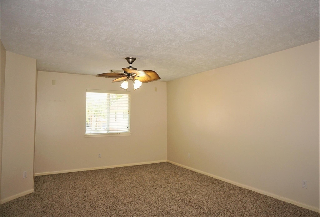 8123 Buffalo Springs Court - Photo 17