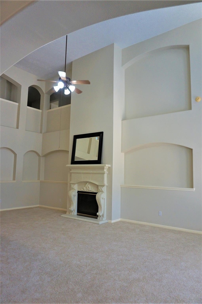 8123 Buffalo Springs Court - Photo 2
