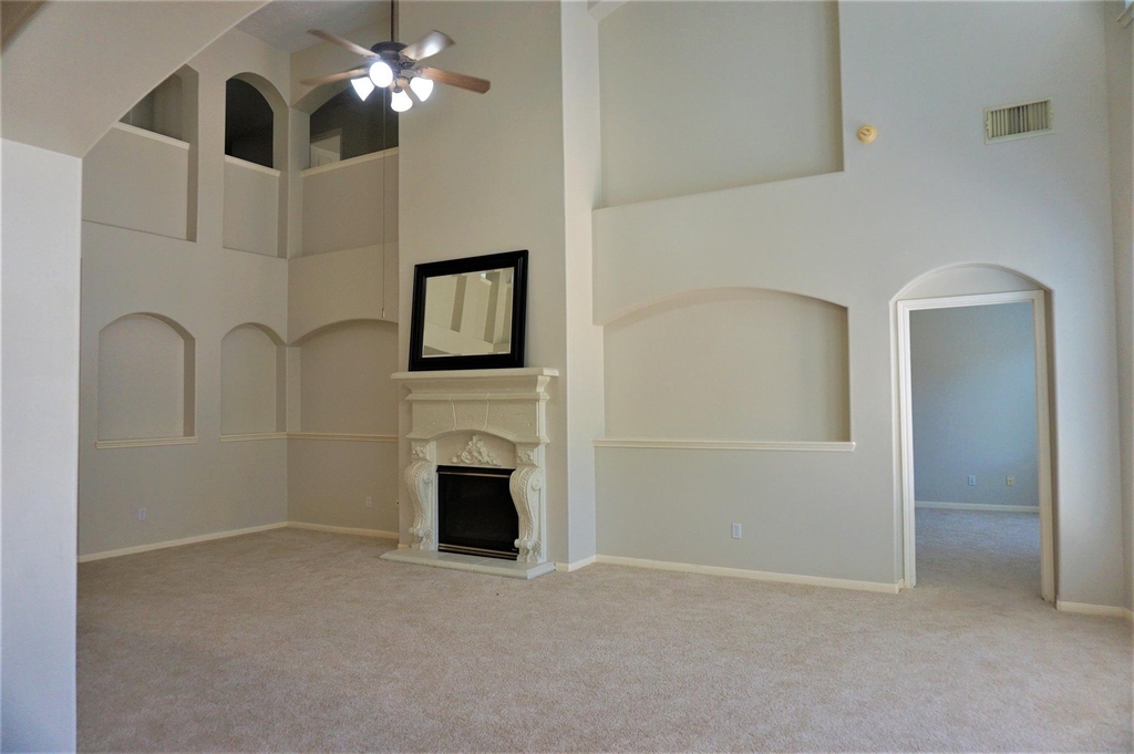 8123 Buffalo Springs Court - Photo 3