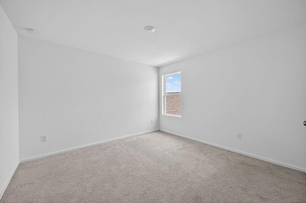 26719 Prairie Smoke Lane - Photo 22