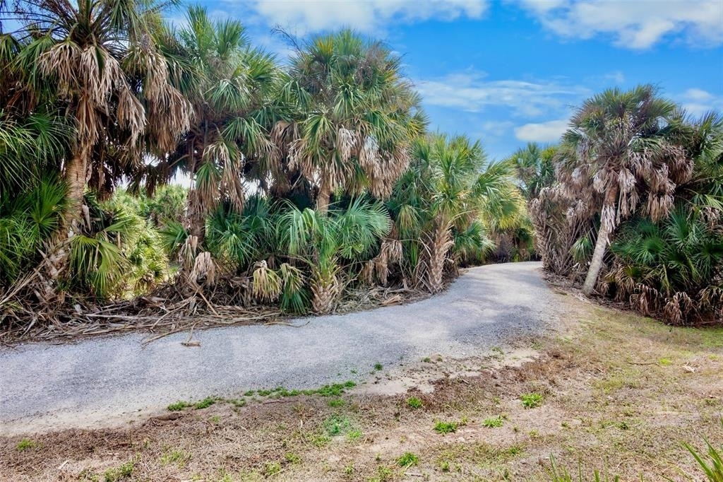 5425 Cicerone Street - Photo 22