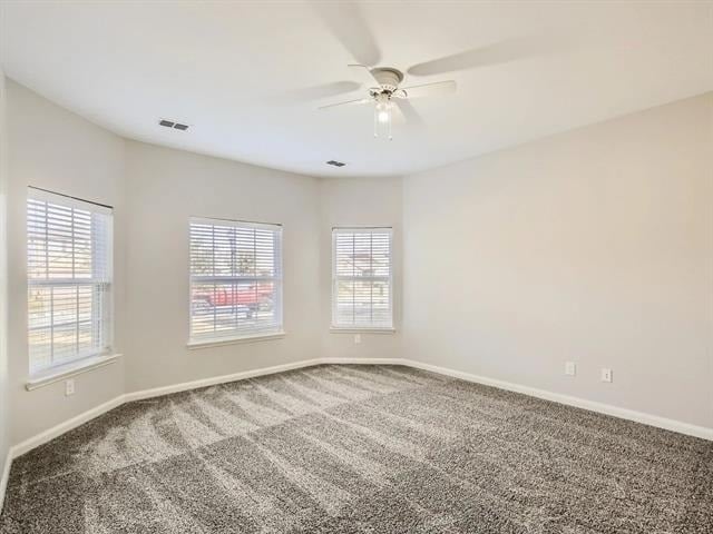 4315 Elderberry Street - Photo 9