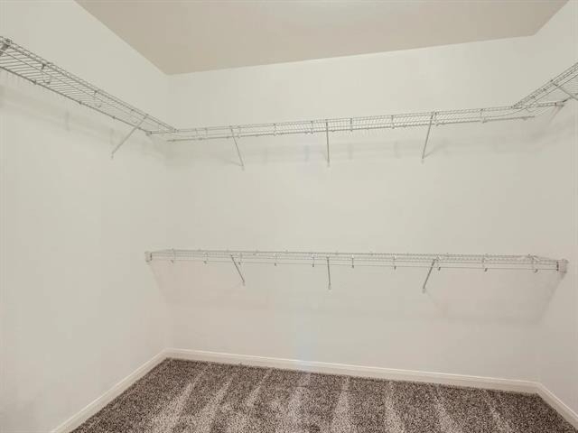 4315 Elderberry Street - Photo 13