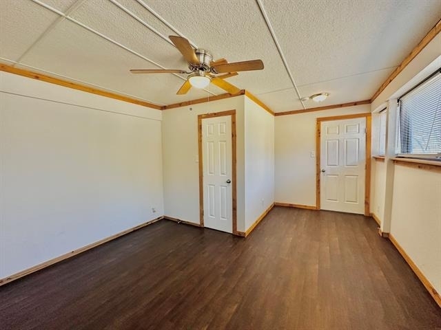 161 Elizabeth Street - Photo 9