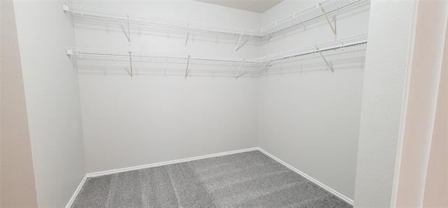 861 Cats Eye Drive - Photo 18