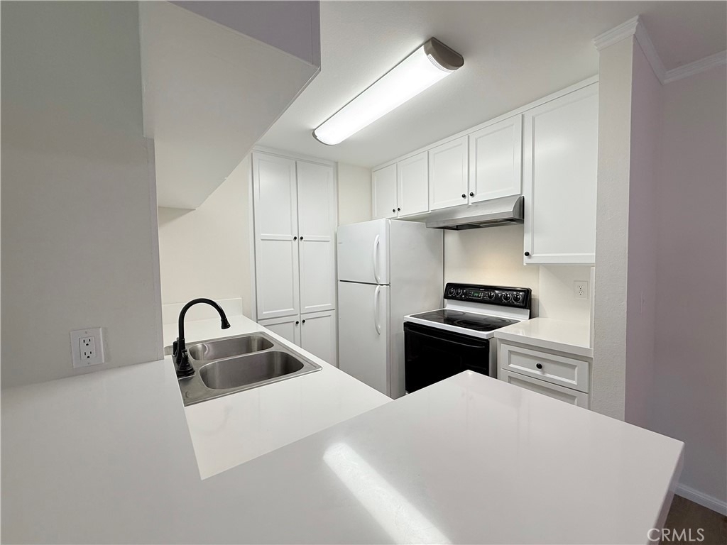 806 Coriander Drive - Photo 8