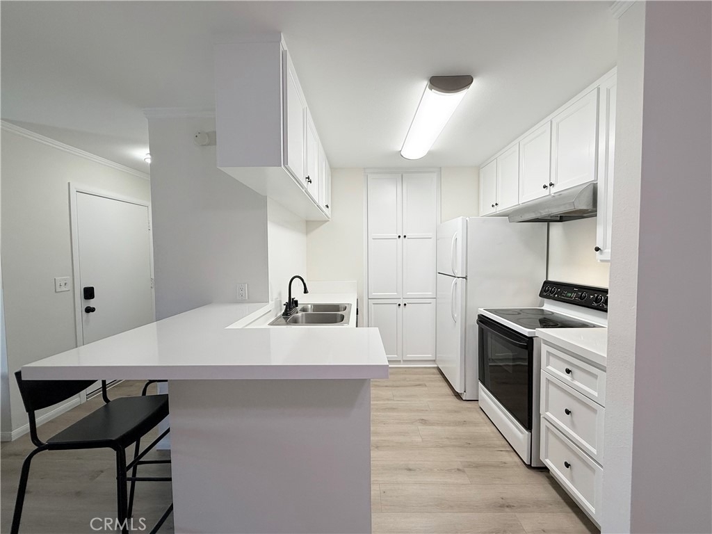 806 Coriander Drive - Photo 7