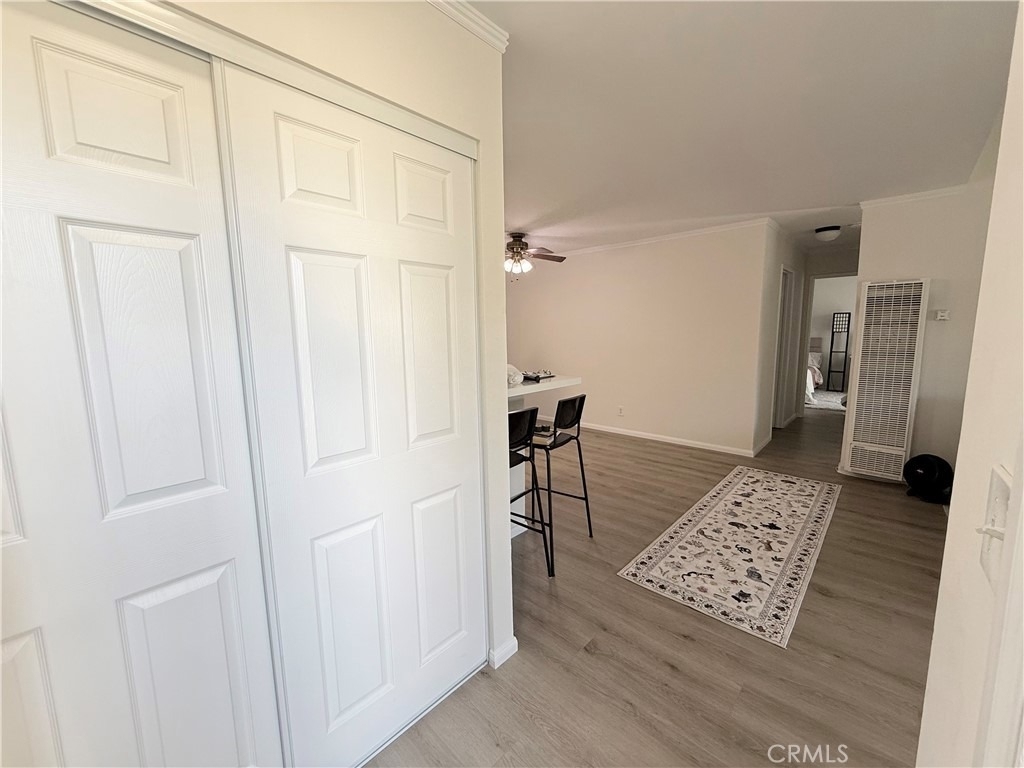 806 Coriander Drive - Photo 4