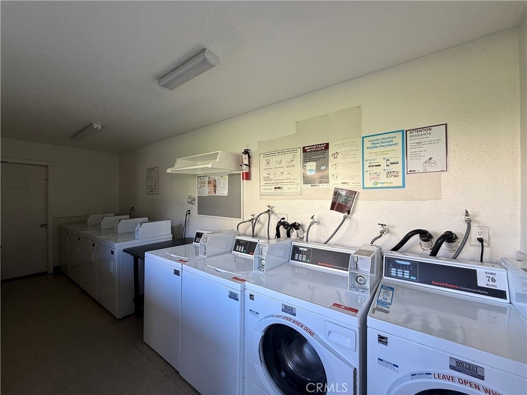 806 Coriander Drive - Photo 28