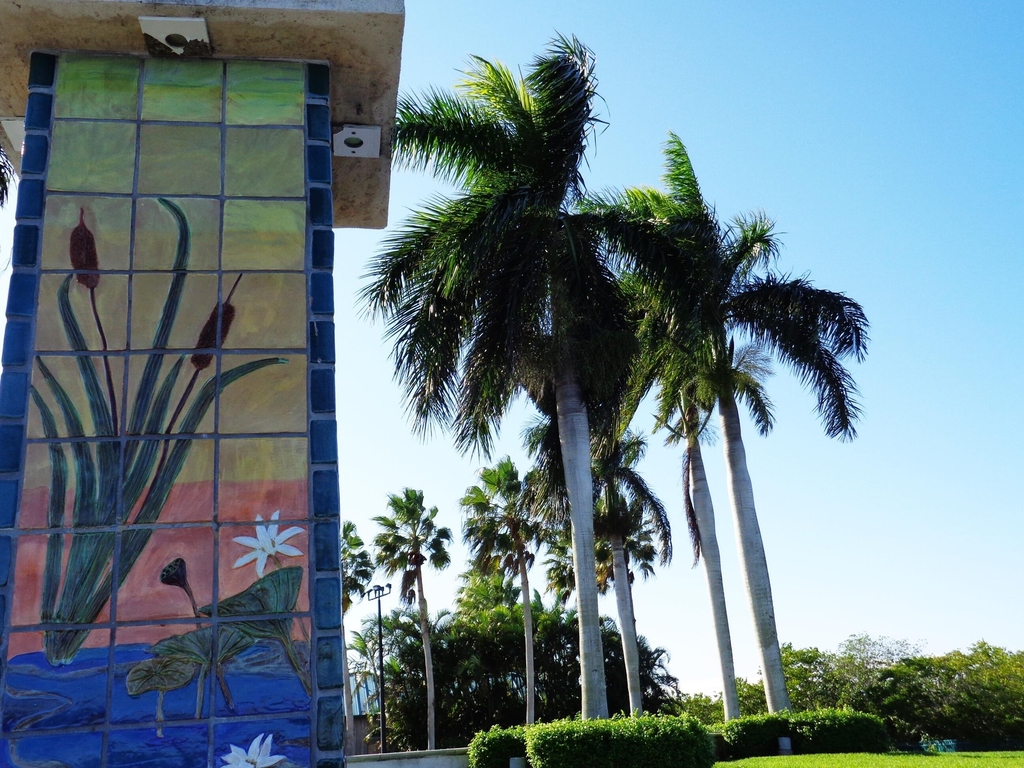 351 Del Monte Road - Photo 39