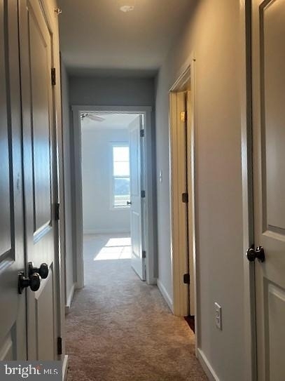 148 Olga Drive - Photo 34