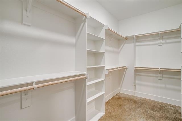 106 Cardinal Woods Court - Photo 18