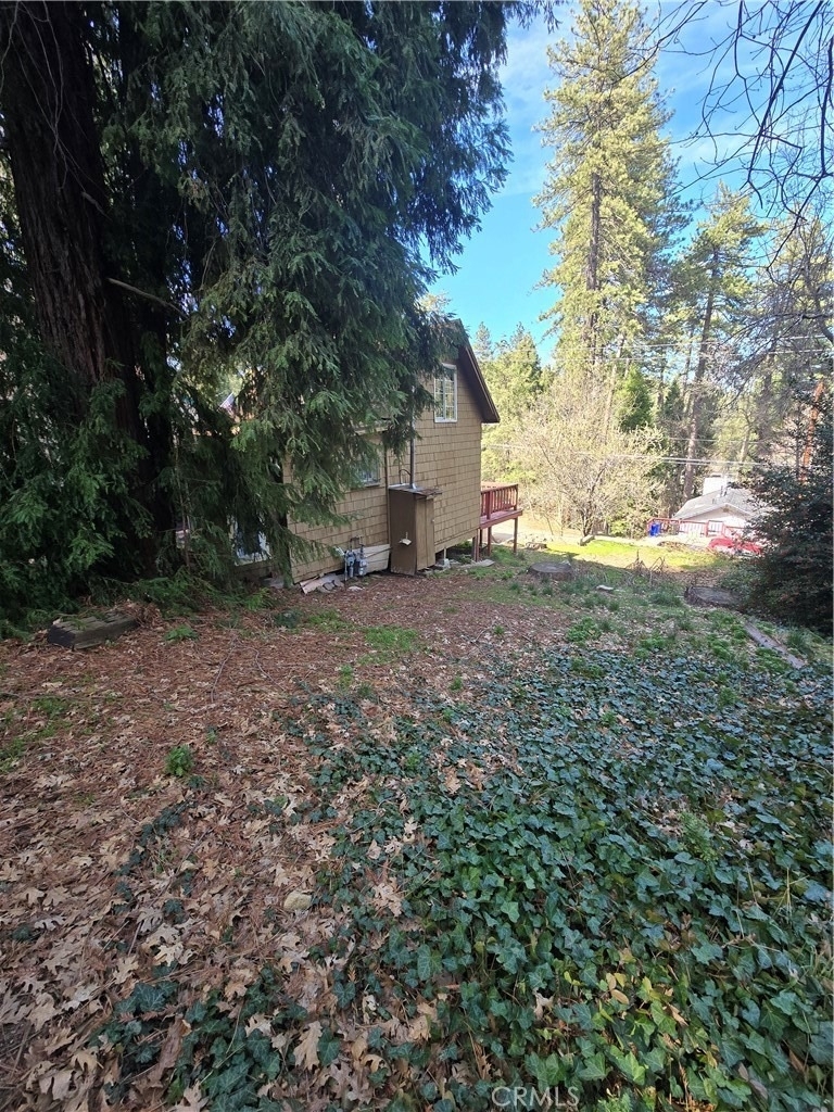22903 Laurel - Photo 12