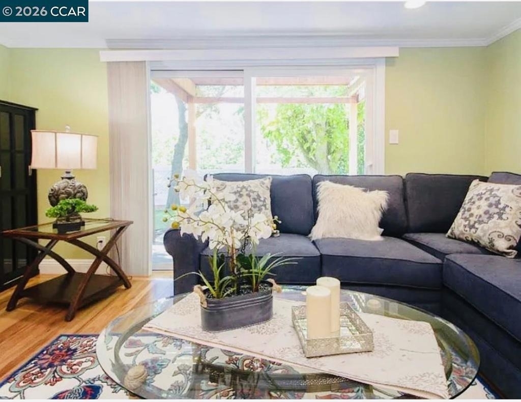 143 Pulido Rd - Photo 12