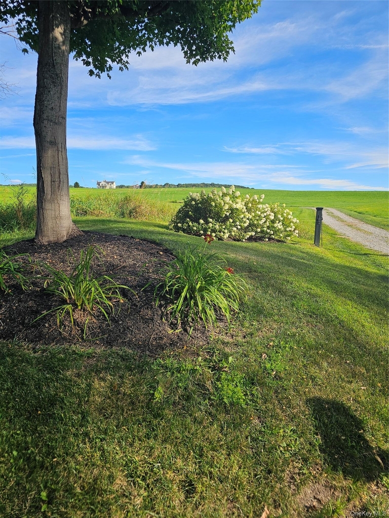 162 Amenia Union Road - Photo 15