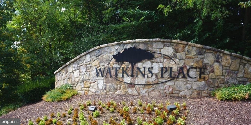 901 Pine Forest Lane - Photo 2