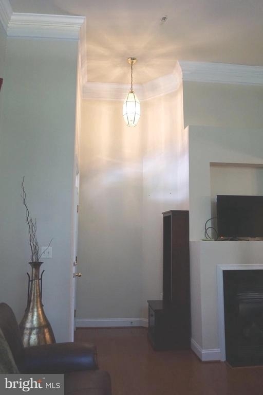 901 Pine Forest Lane - Photo 8