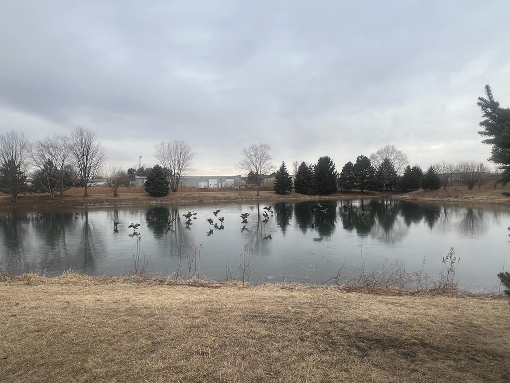 285 Lakeshore Drive - Photo 32