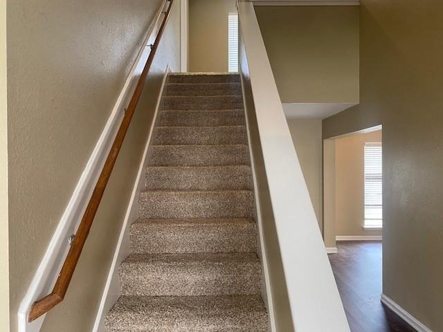 5906 Drenner Park Lane - Photo 11
