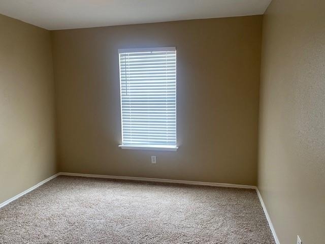 5906 Drenner Park Lane - Photo 23