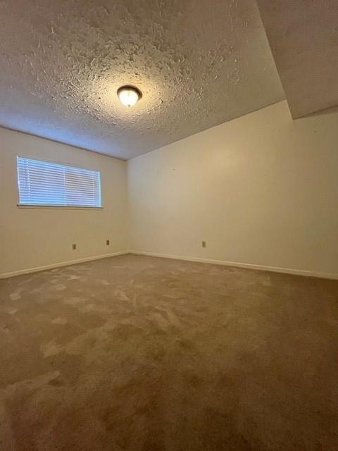 2010 Windy Meadow Drive - Photo 12